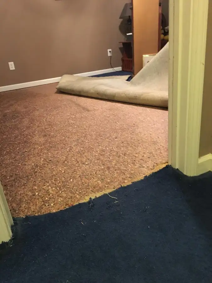 Carpet pad removal revealing water damage during Water Mitigation Services in Lower Merion