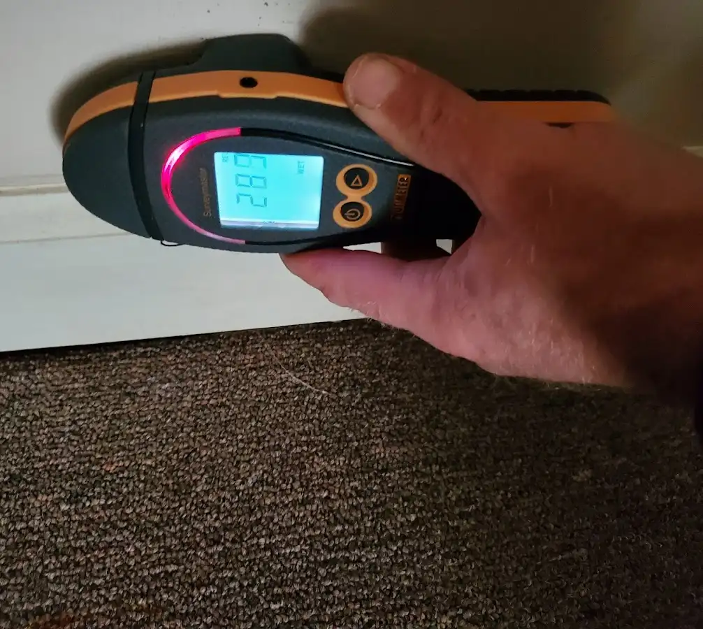 Moisture detection at baseboard during Sewage Cleanup & Sanitation in Lower Merion